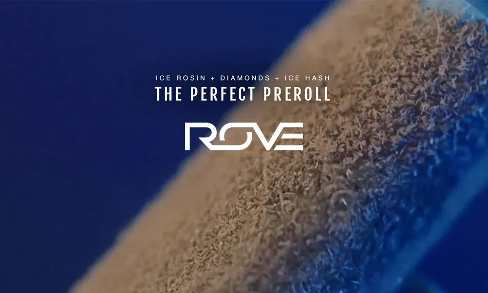 special 3369593 photo