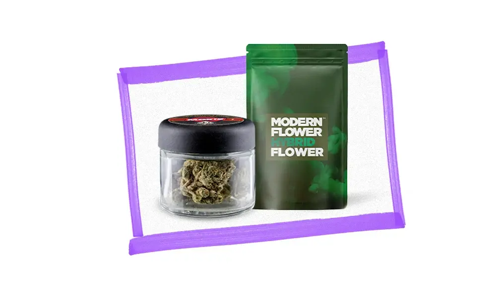 special 3384089 photo