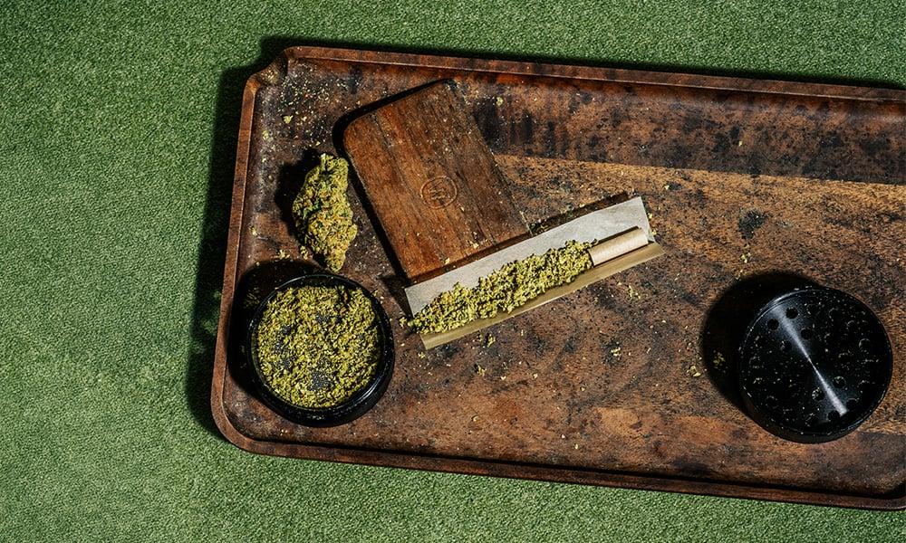 special 3359104 photo