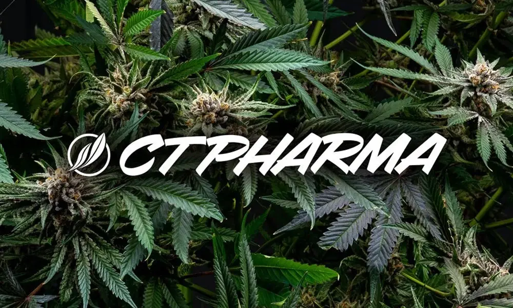 special 3294058 photo