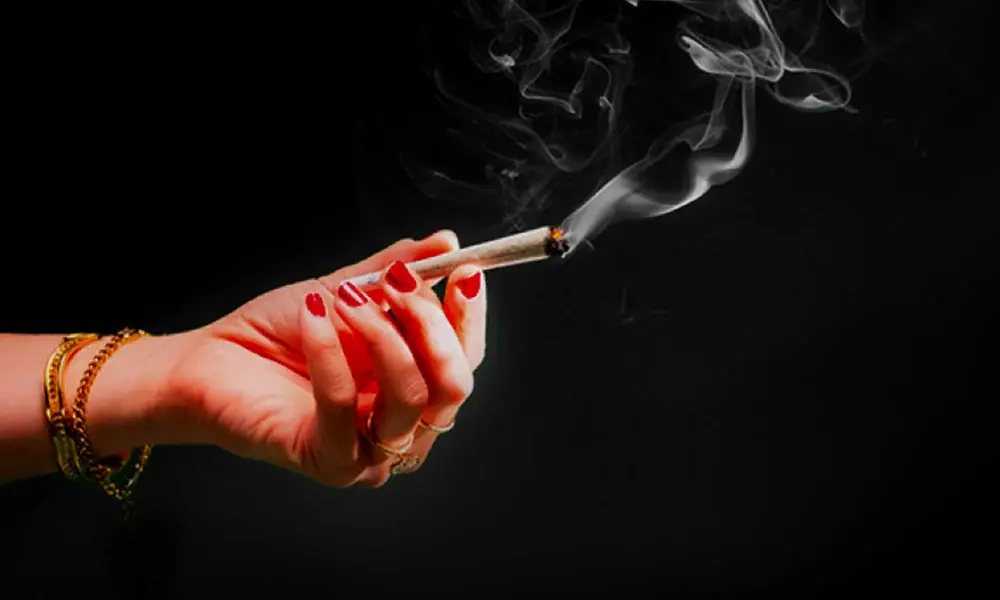 special 3279384 photo