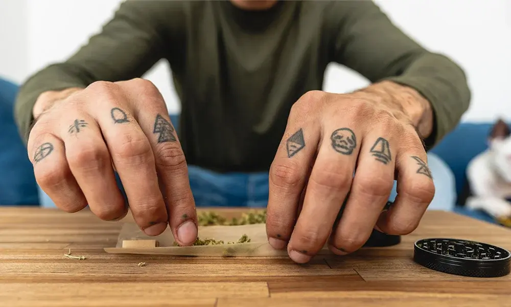 special 3105759 photo