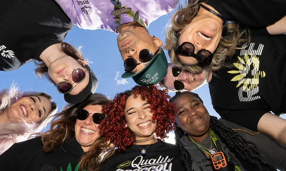 special 3385420 photo