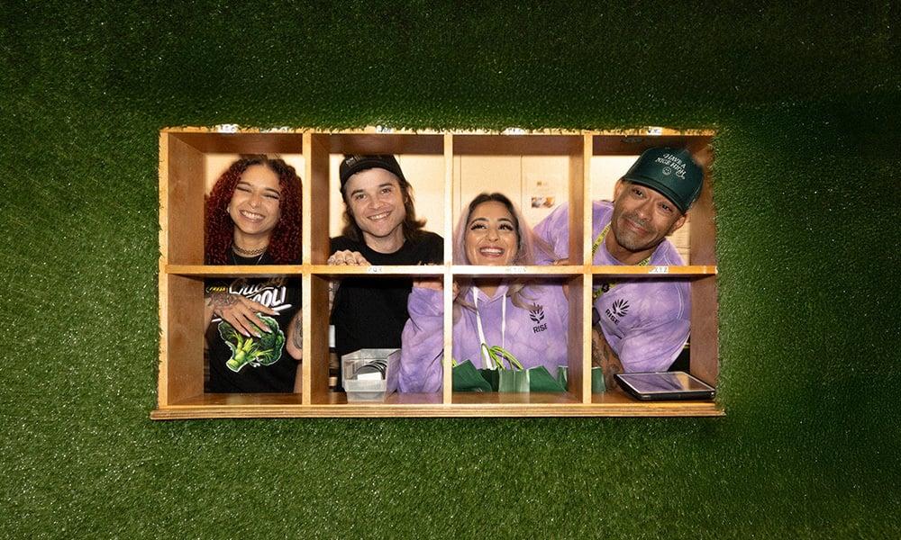 special 3312824 photo