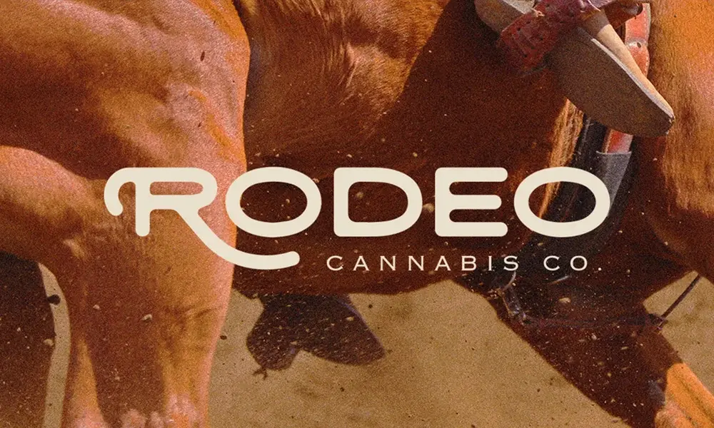 special 3259825 photo