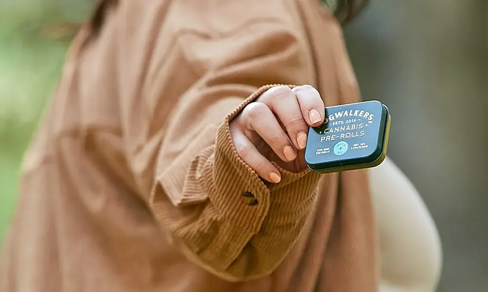 special 3316891 photo