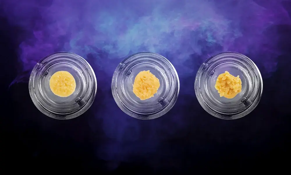 special 3248250 photo