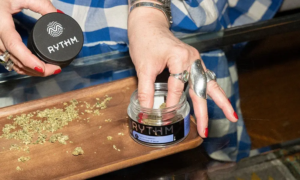 special 3105764 photo