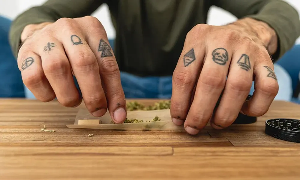 special 3353734 photo