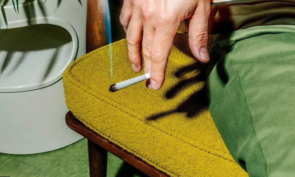 special 3105299 photo